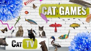 CAT Games | Ultimate Cat TV Compilation Vol 62 | 2 HOURS 