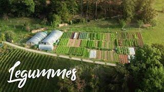 BEAUTIFUL Farm on a STEEP SLOPE in Switzerland // Legummes