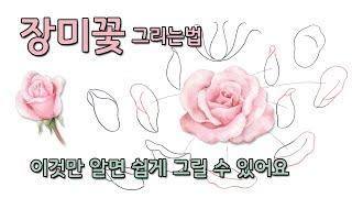 [FineArtLab] 장미꽃 그리는법/ 복잡한 장미꽃 초보자도 쉽게 그릴수 있어요/How to draw a ROSE