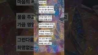 씨앗(정성)