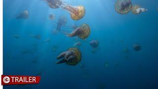 Voyage of Time - Il cammino della vita - Trailer