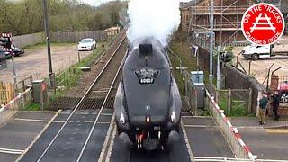 SIR NIGEL GRESLEY AT SPEED  NARBOROUGH LEICESTERSHIRE 05.04.23 LNER A4 PACIFIC 4498 / 7 / 60007