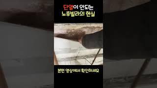 30년 된 빌라, 단열이 안되는 노후빌라의 현실 #노후빌라 #리모델링 #인테리어 #단열 #인테리어정보