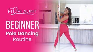 Beginner Pole Tutorial | Easy to follow!