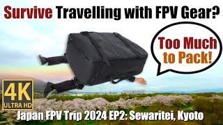 Don't travel with your FPV without watching this Betafpv Pavo Pico Toothpico EP2: Sawaritei, Kyoto