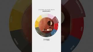 Color Wheel Theory | Interior Design Firm in Dubai  | Euphoria Ineriors