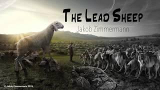 The Lead Sheep | Jakob Zimmermann