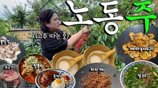 [술먹방 vlog] 마약보다 위험한 밭일 후 마시는 노동주ㅣ밭일 1시간 노동주 8시간ㅣ2박3일