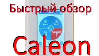 Быстрый обзор Caleon, комнатный термостат для SmartWeb