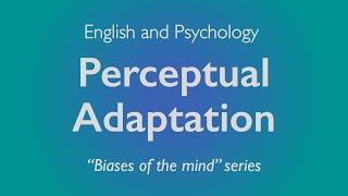 Vocabulary of psychology: Perceptual and Hedonic Adaptation | Misconceptions - English lesson 5