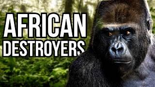 3 African Animals That Would Dominate South American Ecosystems