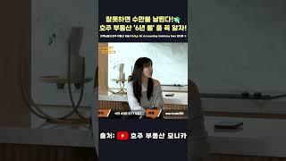 잘못하면 수만불 날린다!호주 부동산 '6년 룰' 을 꼭 알자![고객님들의 호주 부동산 세금 FAQ SK Accounting Solutions Sam 인터뷰 中] #호주부동산