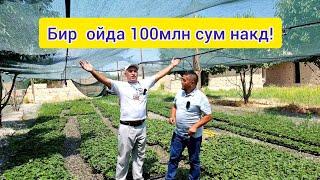 Катта даромад!100 млн сум ишлаб топиш сири! +998933724474️