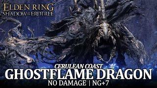 Ghostflame Dragon Boss Fight (No Damage / NG+7) - Cerulean Coast [Elden Ring DLC]