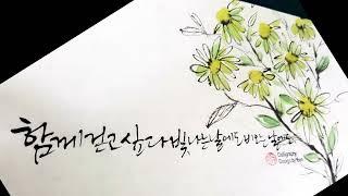 [주연캘리그라피] 6월에 만난 좋은 글귀로 캘리그라피 모음 영상입니다.