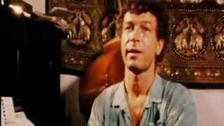 Herman Brood - Rock And Roll Junkie -full movie