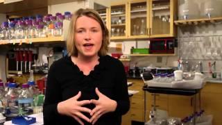 Cornell University Biological and Biomedical Sciences Graduate Program