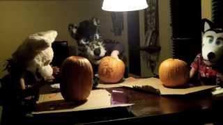 Furry Pumpkins!