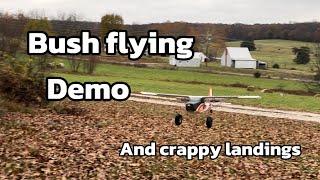 Durafly tundra bush flying Demo