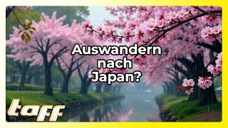 Traumziel Japan: Warum immer mehr Deutsche nach Tokio auswandern (Teil 2)