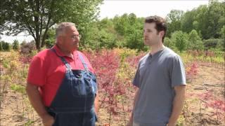 Backyard Nursery Grow System Testimonial - 1