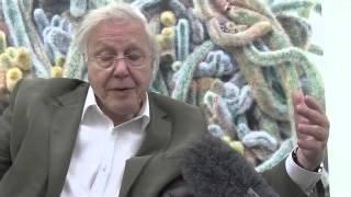 Attenborough's Natural Curiosities: Exclusive interview with David Attenborough