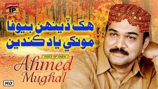 Hik Dehan Bewafa Monkhe Yad Kandain | Ahmed Mughal | TP Sindhi