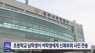 초등학교 남학생이 여학생에게 신체부위 사진 전송