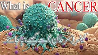 What is Cancer?? || The Surprising Cancer Facts Nobody Tells You - Fact Factory