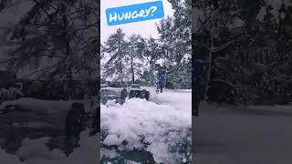 hungry for a snow cone? ️ ️️ #arrma #rccar #rccars #hobby #radiocontrol #thercllama #rclife
