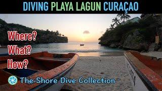 Diving Playa Lagun, Curaçao | The Shore Dive Collection | TropicLens   4K