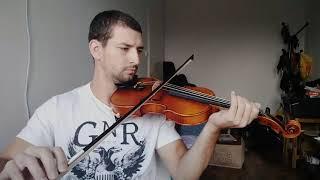 Abusing my first violin - Scott Cao STV-017E with Aileen WV900C-B Carbon Bow