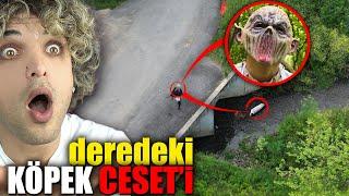 DEREDEKİ KÖPEK C*SET 'i * köpek katili !! * part 1 