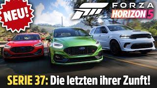 Fiesta  & voller Focus  in SERIE 37  FORZA HORIZON 5