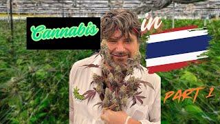 Cannabis in Thailand as a Business, Boom or Bust?