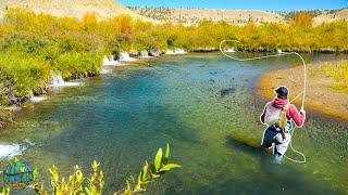 AMAZING FLY FISHING FOR BIG TROUT! (Streamer Fishing)