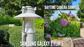 Galaxy Z Flip 5 Camera Samples! Daytime Only Shots