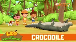 Why is the CROCODILE upside down? | Leo the Wildlife Ranger Spinoff S3E11 | @mediacorpokto