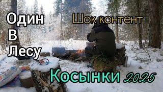 ВОТ ЭТО ДА. ПО 4 ШТУКИ В КОСЫНКУ. СНОВА ЗАРЯДИЛ КОЛОКОЛЬЧИКИ. ОДИН В ЛЕСУ.