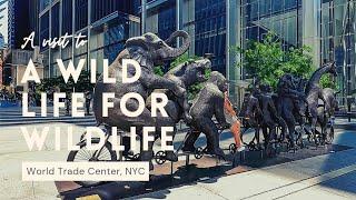 A Wild Life For Wildlife | NYC