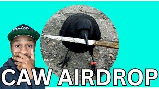 CAW CROW WITH KNIFE AIRDROP IS HERE !