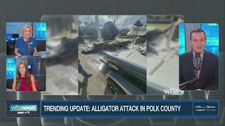 Alligator Rips Paddle in Half, Drags Woman Into Water — Terrifying Florida Kayak Attack! 