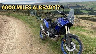 6000 miles already?! - What I think of the Yamaha Tenere 700