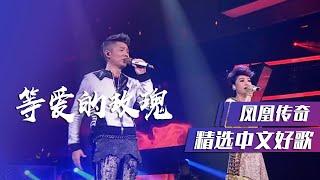 洗脑神曲！凤凰传奇演唱《等爱的玫瑰》 [精选中文好歌] | 中国音乐电视 Music TV