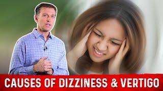 3 Causes Of Dizziness or Vertigo Explained By Dr. Berg