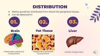 ADME OF METHYL PARATHION