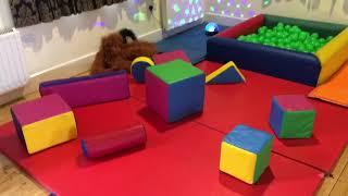 Soft Play Birthday Party. A Ball Pit, Soft Play And Games!