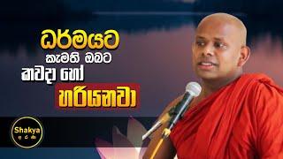 ධර්මයට කැමති ඔබට කවදා හෝ හරියනවා | ven. Welimada Saddaseela thero | @shakyaarana