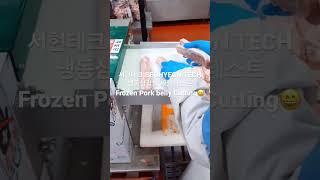 서현테크 식품기계  돼지찌개 돼지고기 김치찌개 냉동 삼겹살 세절 테스트(SEOHYEON TECH Frozen pork belly cutting test)