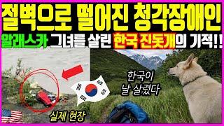 [실화] 절벽 아래로 추락한 여대생… 그녀를 살린 건 한국 진돗개였습니다